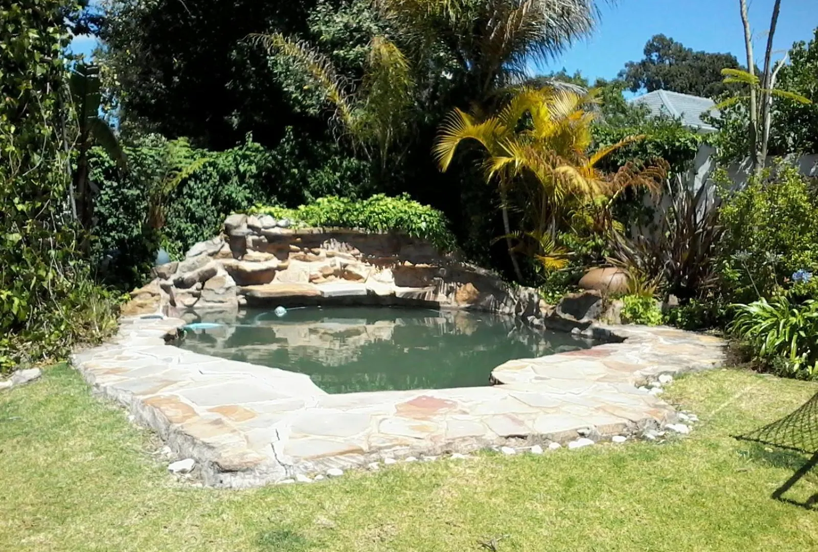 The Pomegranate Daire Cape Town