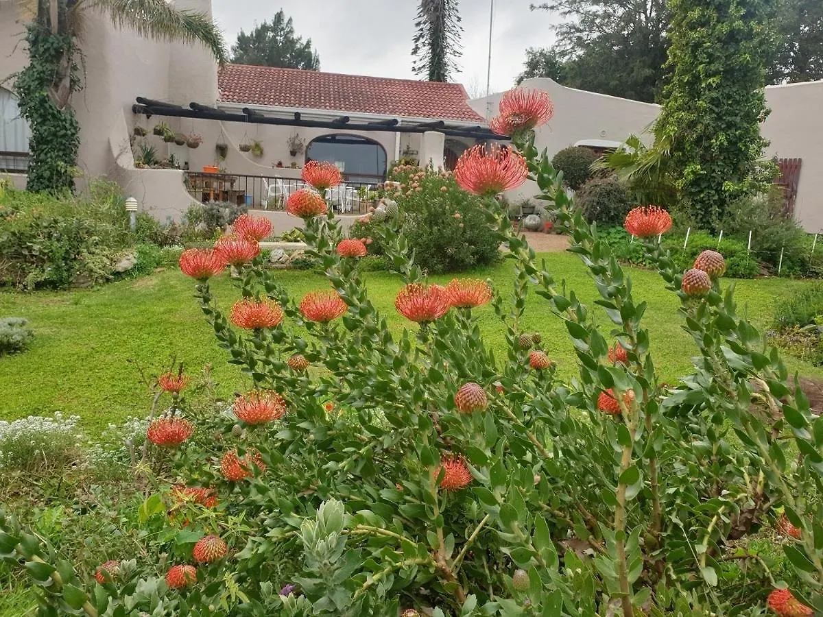 The Pomegranate Daire Cape Town